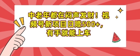 中老年都在闷声发财，视频号新项目日入多张，有手就能上车-福缘创业网_创业项目大全