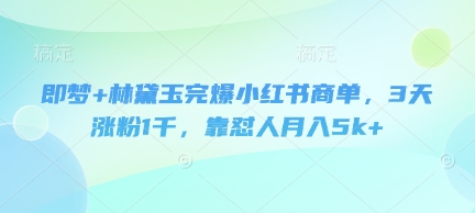 即梦+林黛玉完爆小红书商单，3天涨粉1千，靠怼人月入5k+-福缘创业网_创业项目大全