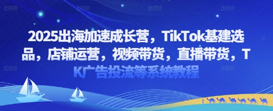 2025出海加速成长营，TikTok基建选品，店铺运营，视频带货，直播带货，TK广告投流等系统教程-福缘创业网_创业项目大全