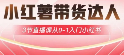 小红薯达人带货启航计划，3节直播课从0-1入门小红书-福缘创业网_创业项目大全