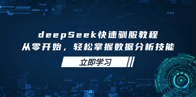 （14536期）deepSeek快速驯服教程，从零开始，轻松掌握数据分析技能-福缘创业网_创业项目大全