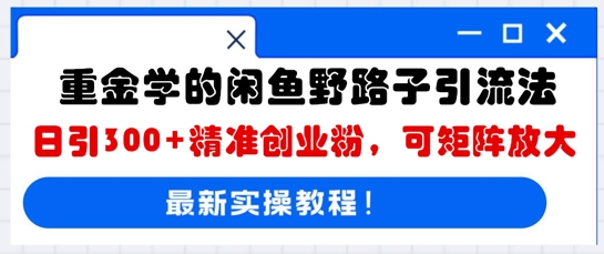 重金学的闲鱼野路子引流法，日引300+精准创业粉，可矩阵放大-福缘创业网_创业项目大全