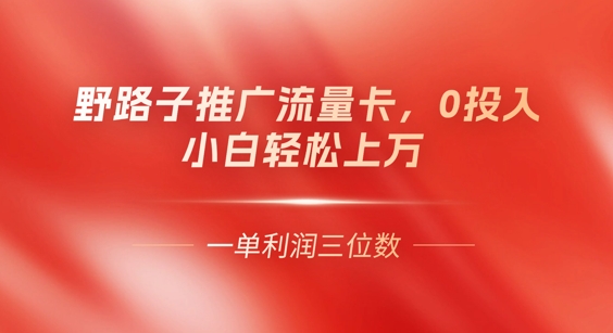 0门槛推广流量卡，一单收益上百，0投入，小白月入过W-福缘创业网_创业项目大全