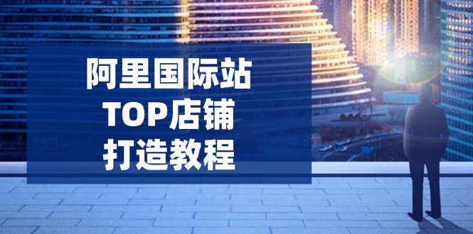 （14269期）阿里国际站TOP店铺打造教程：涵盖平台到高阶，解决运营难题，提升询盘-福缘创业网_创业项目大全