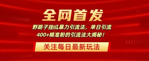 全网首发，野路子暴力引流法，单日引流400+精准粉的引流法大揭秘-福缘创业网_创业项目大全