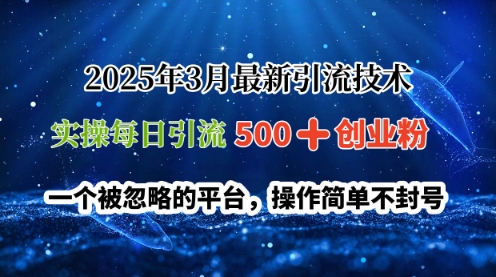 2025年3月最新引流技术，实操每日引流500+创业粉，一个被忽略的平台，操作简单不封号-福缘创业网_创业项目大全
