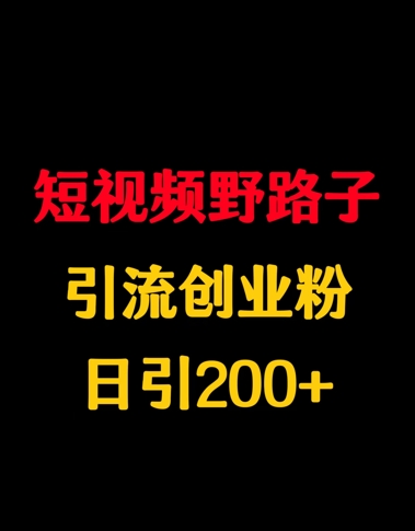 短视频野路子引流创业粉，日引200+-福缘创业网_创业项目大全