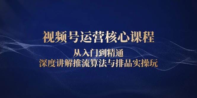 视频号运营核心课程，从入门到精通，深度讲解推流算法与排品实操玩-福缘创业网_创业项目大全