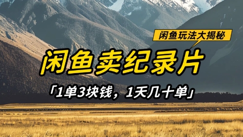 闲鱼卖纪录片1单3块钱，1天几十单，项目稳定有潜力-福缘创业网_创业项目大全