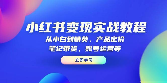 小红书变现实战教程：从小白到精英，产品定价，笔记带货，账号运营等-福缘创业网_创业项目大全