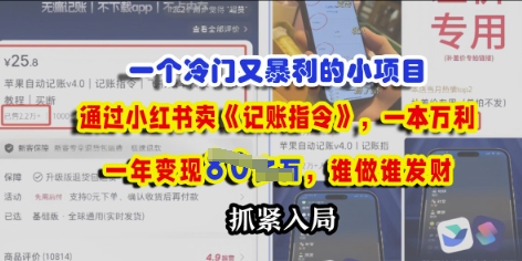 一个冷门需求，通过小红书卖《记账指令》，一本万利，谁做谁发，抓紧入局-福缘创业网_创业项目大全