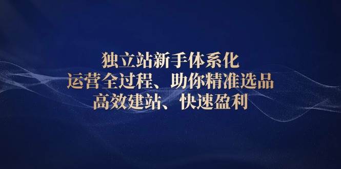 独立站新手体系化 运营全过程，助你精准选品、高效建站、快速盈利-福缘创业网_创业项目大全