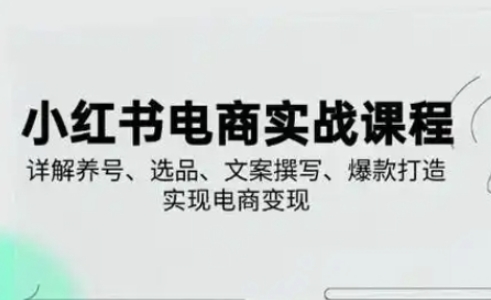 小红书从0-1实操课(2023-2025)，详解养号、选品、文案撰写、爆款打造实现电商变现-福缘创业网_创业项目大全