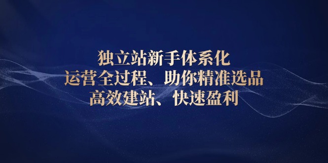 （13914期）独立站新手体系化 运营全过程，助你精准选品、高效建站、快速盈利-福缘创业网_创业项目大全
