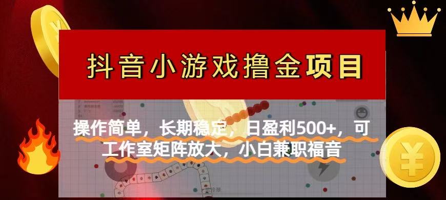 （14290期）【抖音小游戏发行人计划项目】操作简单，长期稳定，日盈利500+，可工作…-福缘创业网_创业项目大全