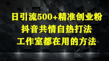 日引流500+精准创业粉，抖音共情自热打法，工作室都在用的方法-福缘创业网_创业项目大全